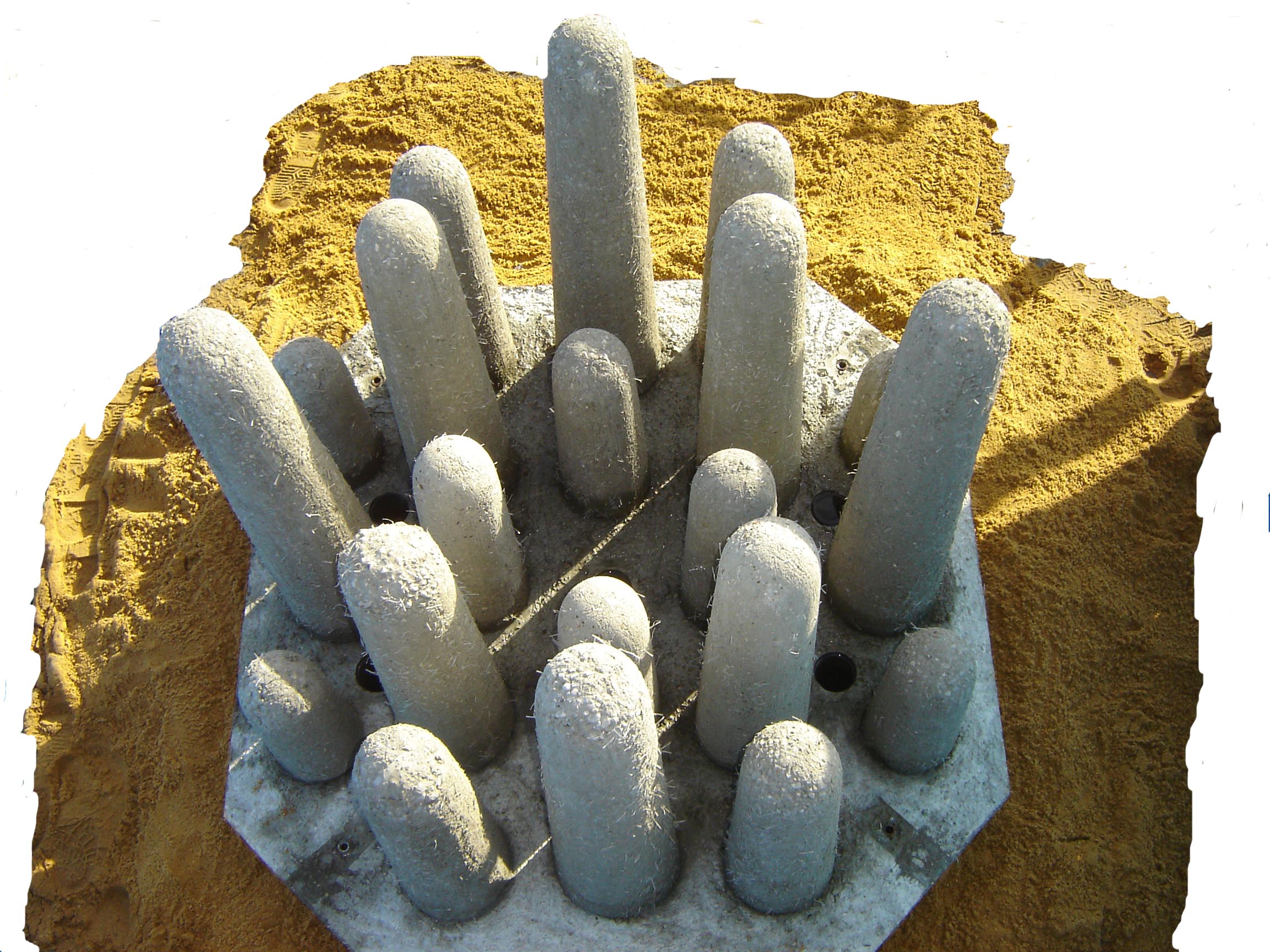 Reef_unit_019
